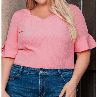 RTS Brixslee Peach Blossom Ruffled Half Sleeve V Neck Textured Top