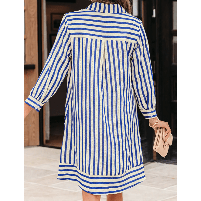 Robbin Blue Stripe Collared Half Button Side Pockets Loose Fit Mini Dress