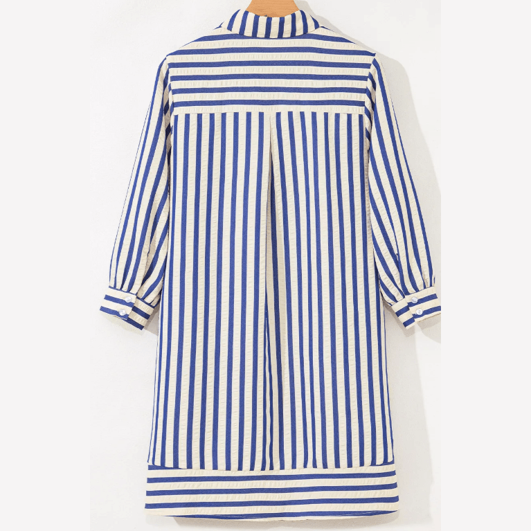 Robbin Blue Stripe Collared Half Button Side Pockets Loose Fit Mini Dress