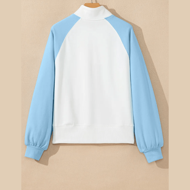 Amia Beau Blue Colorblock Snap Buttons Pullover Sweatshirt