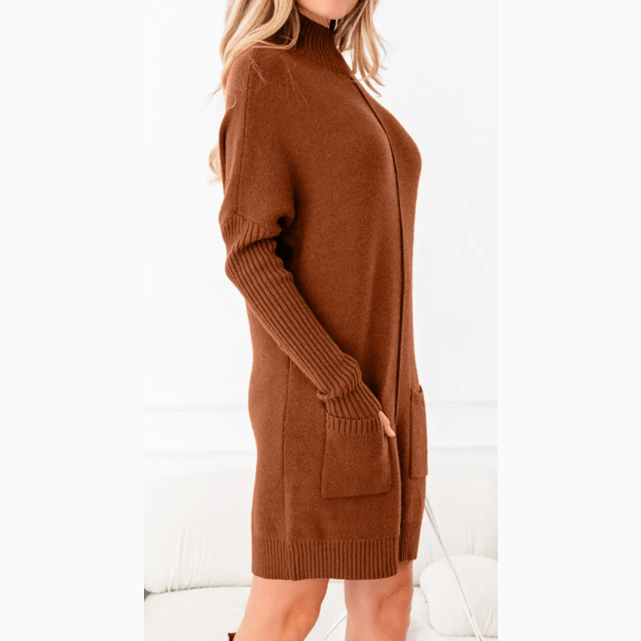 Rossie Chestnut Ribbed High Neck Front Pockets Center Seam Shift Sweater Dress