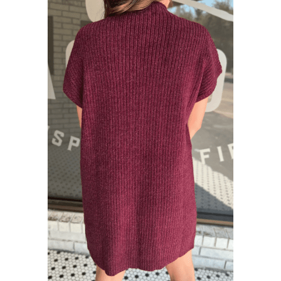 Charity Wine Patch Pocket Ribbed Knit Short Sleeve Sweater Dress