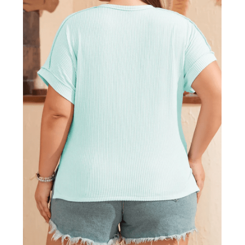 Kipton Iceland Blue PLUS SIZE Textured Henley T Shirt