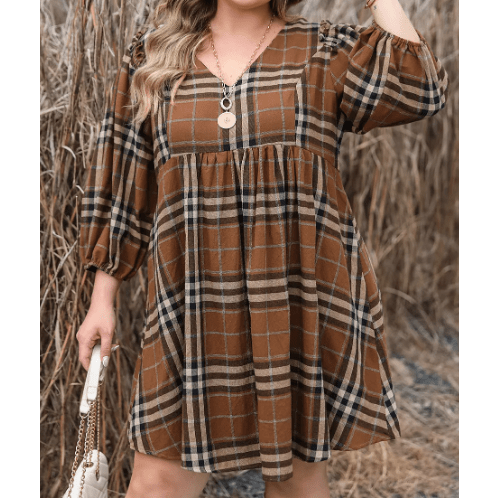 Candis Brown Plaid Pattern Empire Waist PLUS SIZE Babydoll Dress - 1X to 3X