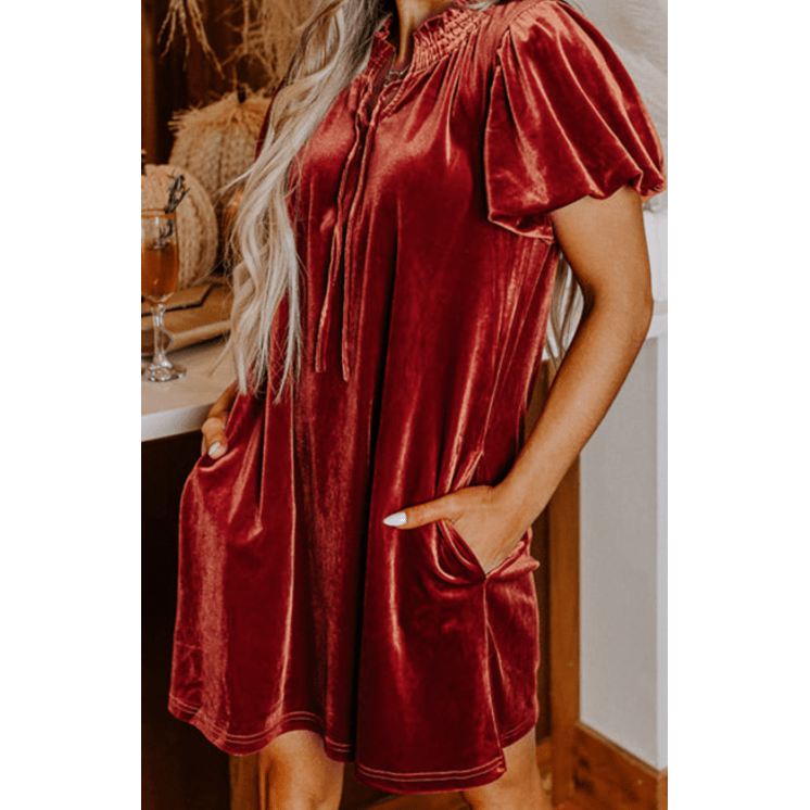 Bek Cinnamon Velvet Smocked Neckline Puff Sleeve Shift Mini Dress