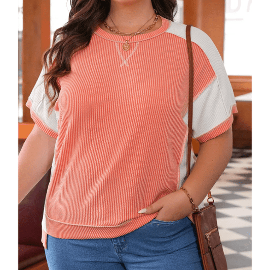 Theodora Twist Rib Colorblock Hi Low PLUS SIZE Short Sleeve Top