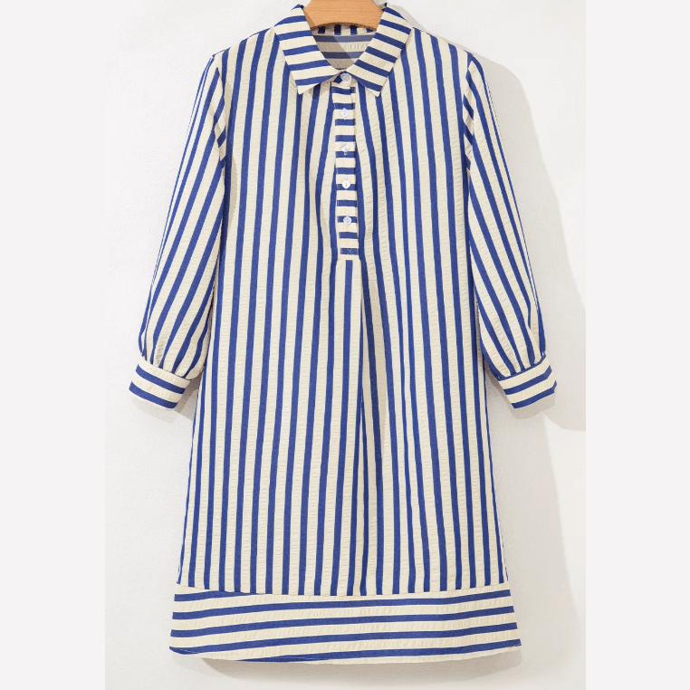 Robbin Blue Stripe Collared Half Button Side Pockets Loose Fit Mini Dress