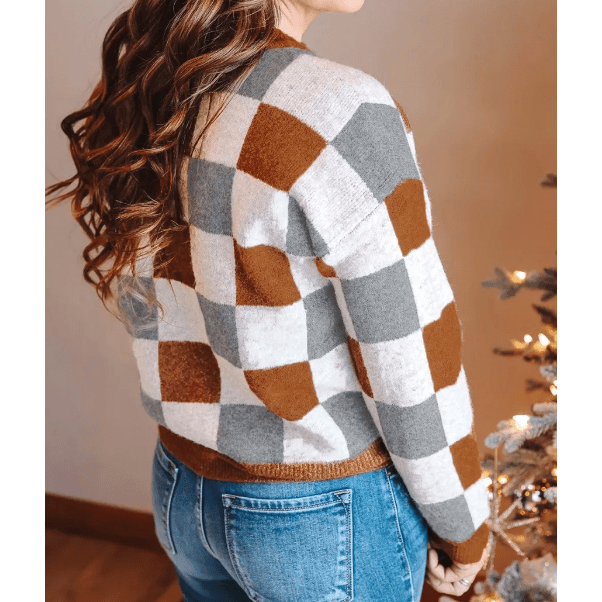 Bess Brown Plus Size Checkered Crewneck Sweater