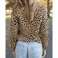 Alessa Leopard Polo Collar V Neck Pullover Top