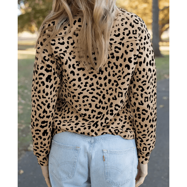Alessa Leopard Polo Collar V Neck Pullover Top