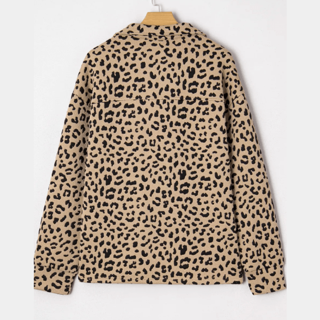 Alessa Leopard Polo Collar V Neck Pullover Top