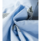 Shaina Sky Blue Floral Print Contrast Striped Trim Ruffled V Neck Fall Blouse