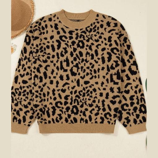 Tynice Light French Beige Ribbed Trim Round Neck Leopard Drop Shoulder Sweater
