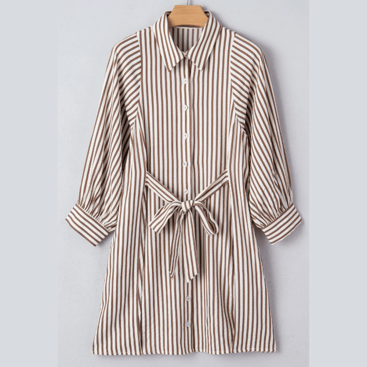 Lacie Brown Stripe Knot Waist Puff Sleeve Button Down Mini Shirt Dress