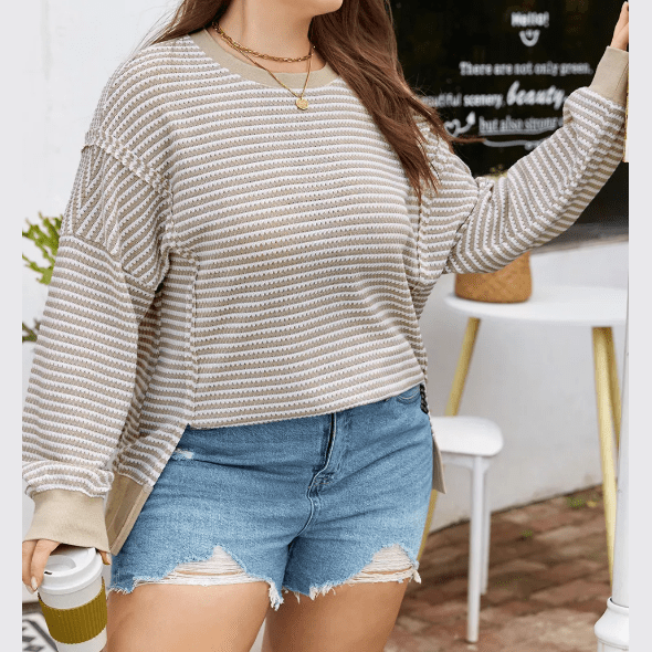 Dayna Brown Stripe Plus Size Breathable Knit Ribbed Trim Long Sleeve Top