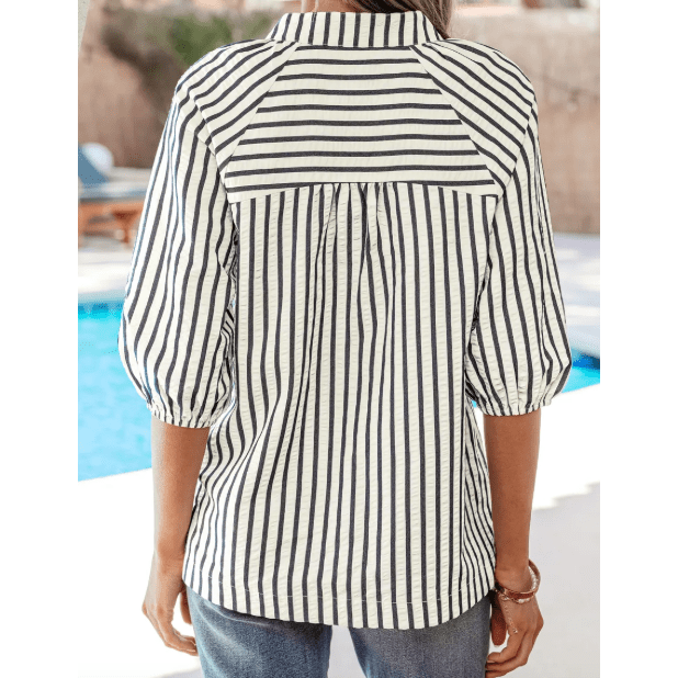 Carey Blue Stripe Floral Embroidered Detail V Neck Short Sleeve Blouse