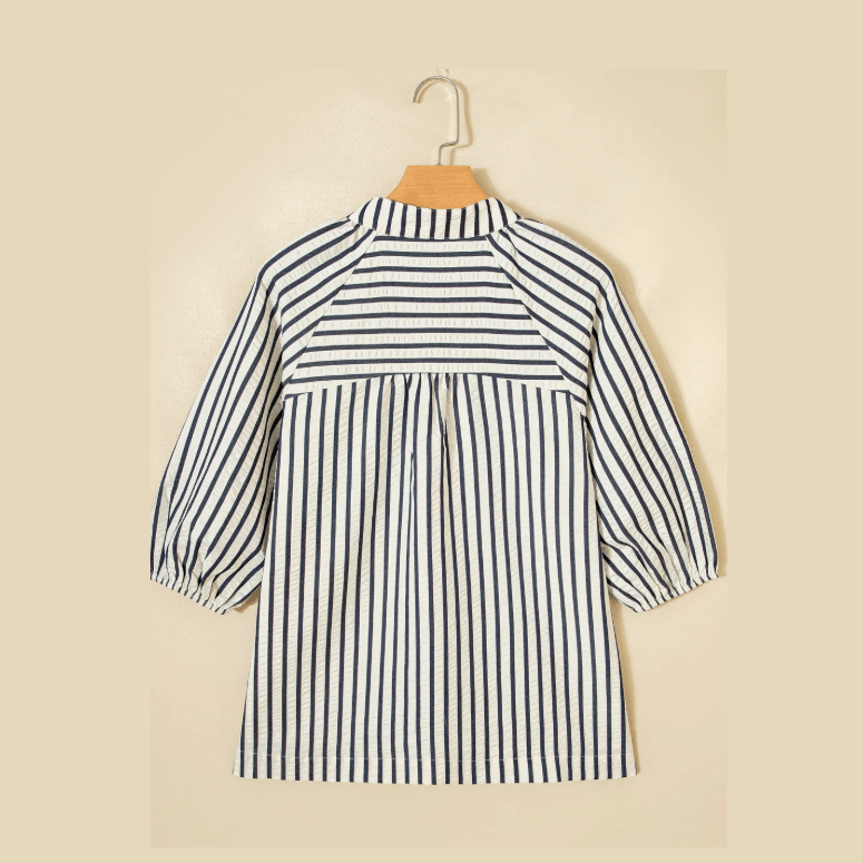 Carey Blue Stripe Floral Embroidered Detail V Neck Short Sleeve Blouse