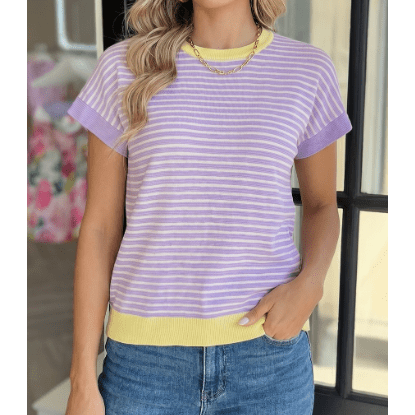 Sonny Purple Stripe Colorblock Paneling Collar Cuff Hem Texture T-Shirt
