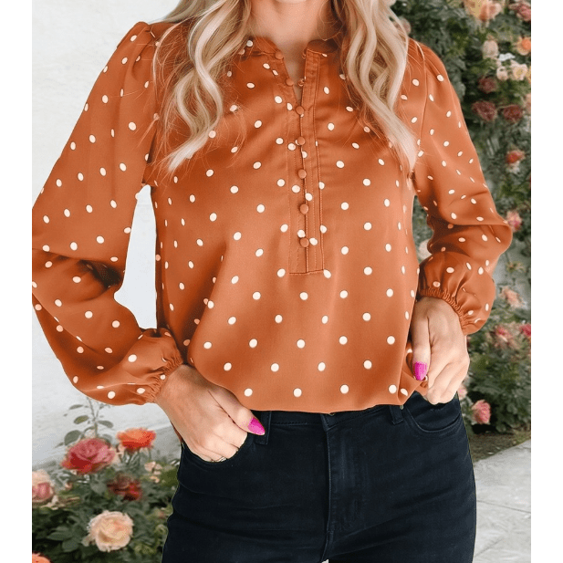 Caitlyn Brown Polka Dot Half Button V Neck Long Sleeve Blouse