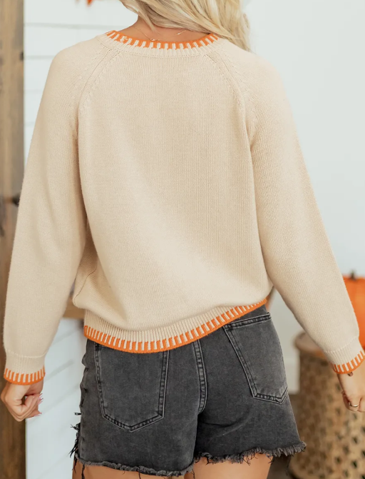 Floral Embroidery Pumpkin Long Sleeve Round Neck Sweater