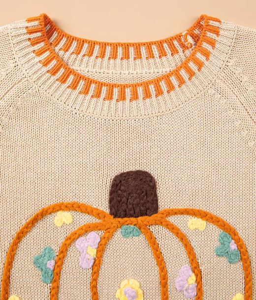 Floral Embroidery Pumpkin Long Sleeve Round Neck Sweater