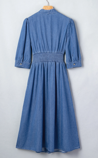 Zadie Blue V Neck Shirred Waist Metal Zipper Denim Midi Dress