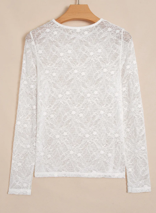 Astrid Long Sleeve Sheer Mesh Lace Top