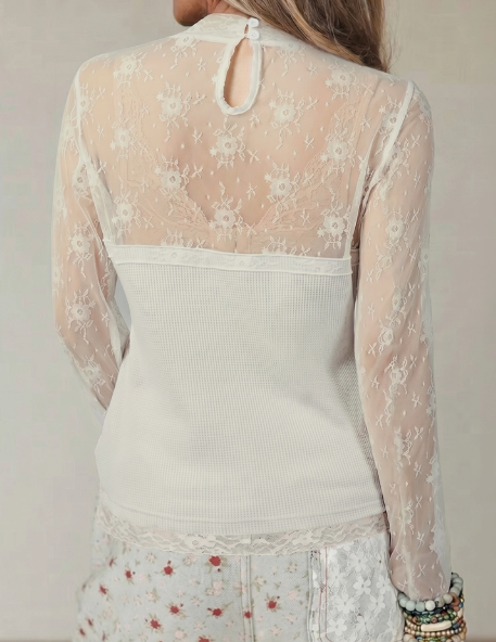 Darah Lace Mesh Long Sleeve Top