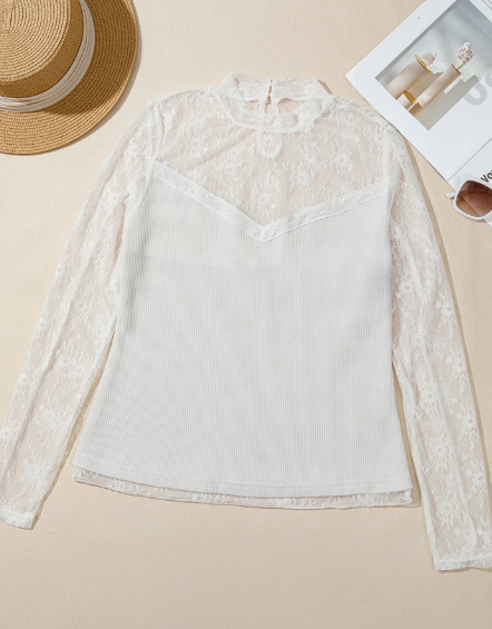 Darah Lace Mesh Long Sleeve Top
