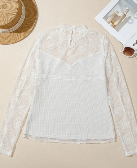 Darah Lace Mesh Long Sleeve Top