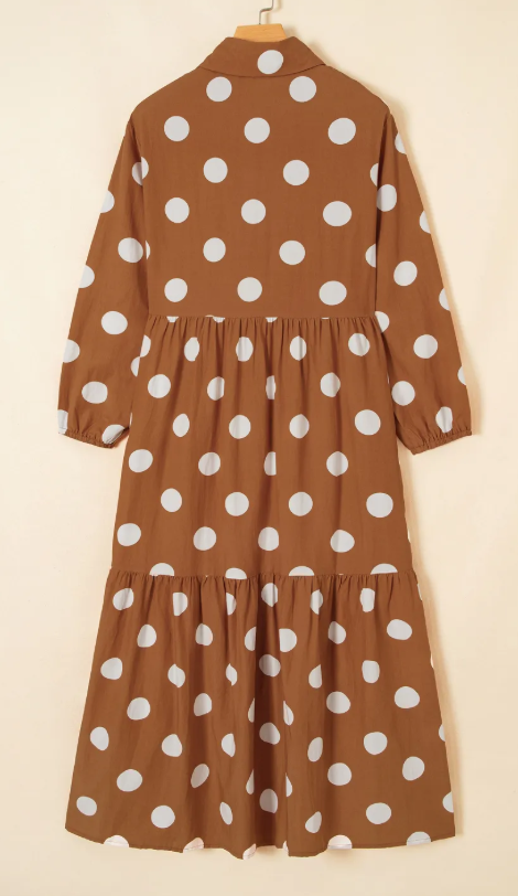 Kerri Brown Polka Dot Button Front Long Sleeve Shift Dress