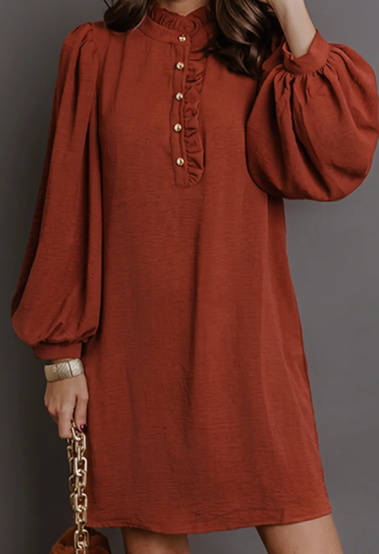 Terilee Coffee Shift Long Sleeve Short Length One Piece Dress