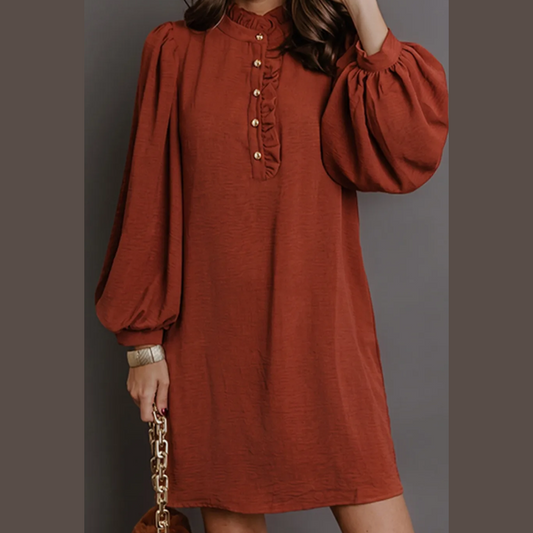 Terilee Coffee Shift Long Sleeve Short Length One Piece Dress
