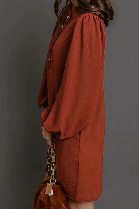 Terilee Coffee Shift Long Sleeve Short Length One Piece Dress