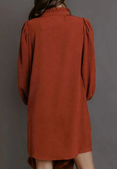 Terilee Coffee Shift Long Sleeve Short Length One Piece Dress