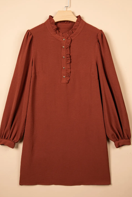 Terilee Coffee Shift Long Sleeve Short Length One Piece Dress