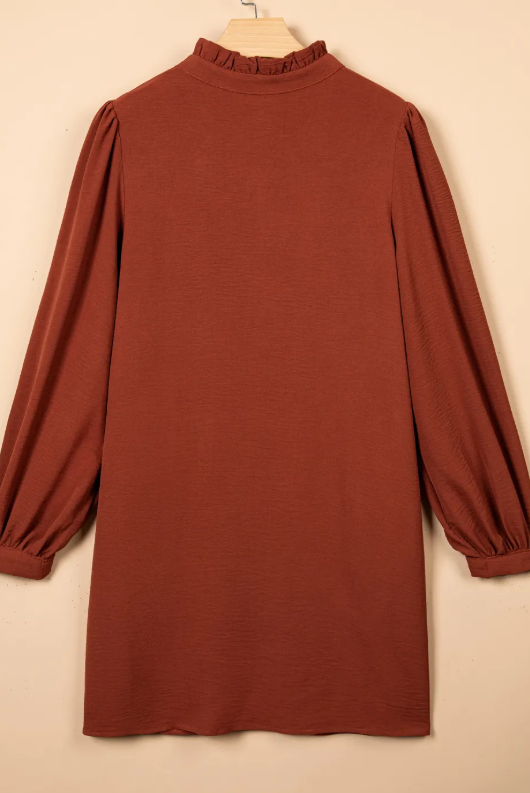 Terilee Coffee Shift Long Sleeve Short Length One Piece Dress