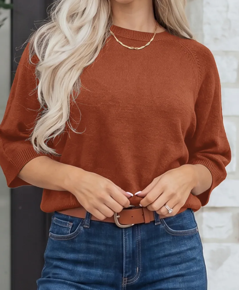 Annika Coffee Ribbed Knit Round Neck Short Sleeve Sweater