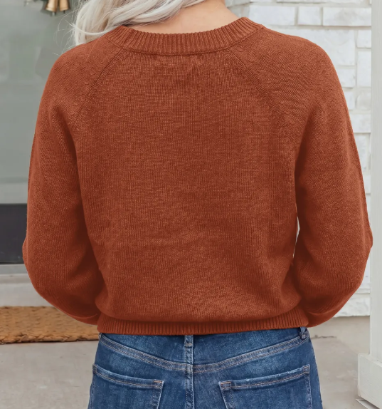 Annika Coffee Ribbed Knit Round Neck Short Sleeve Sweater