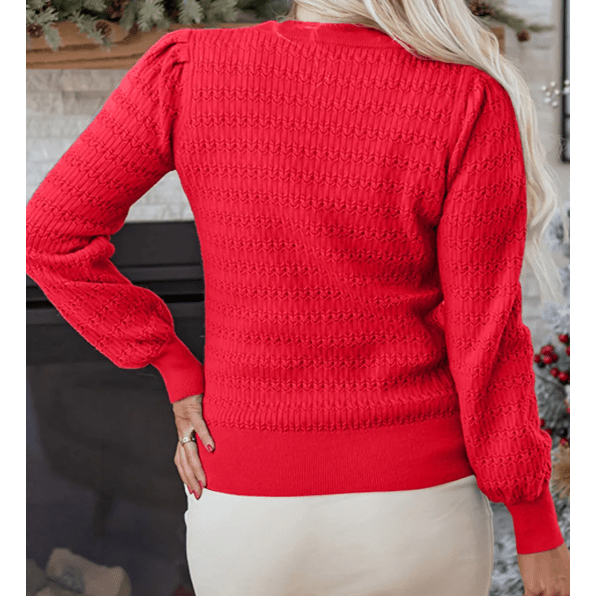 Aurelia Red Pattern Knit Ribbed Cuffs Crew Neck Sweater