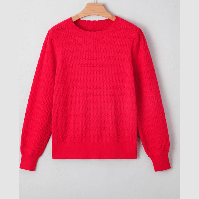 Aurelia Red Pattern Knit Ribbed Cuffs Crew Neck Sweater