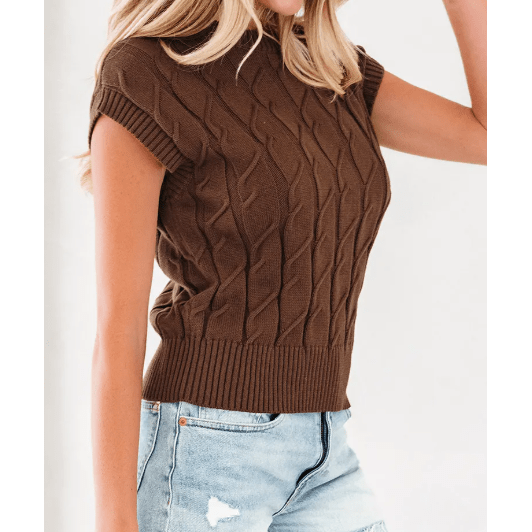 Roxy Dark Brown Cable Texture Crew Neck Short Sleeve Sweater Top