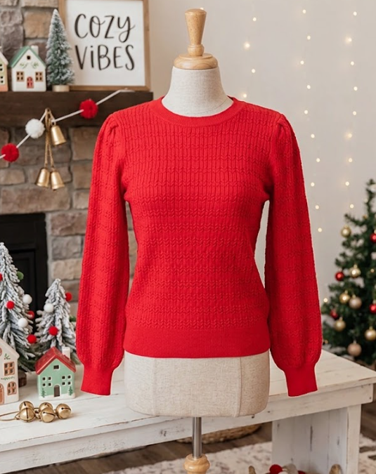 Aurelia Red Pattern Knit Ribbed Cuffs Crew Neck Sweater