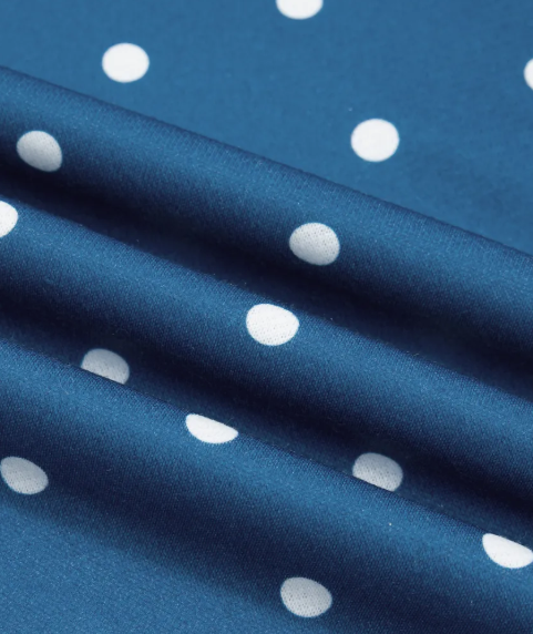 Lunette Blue Polka Dot Print Metal Button Collar Casual Pullover Sweatshirt