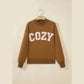 Chestnut COZY Embroidered Long Sleeve Stand Neck Shift Pullover Sweatshirt