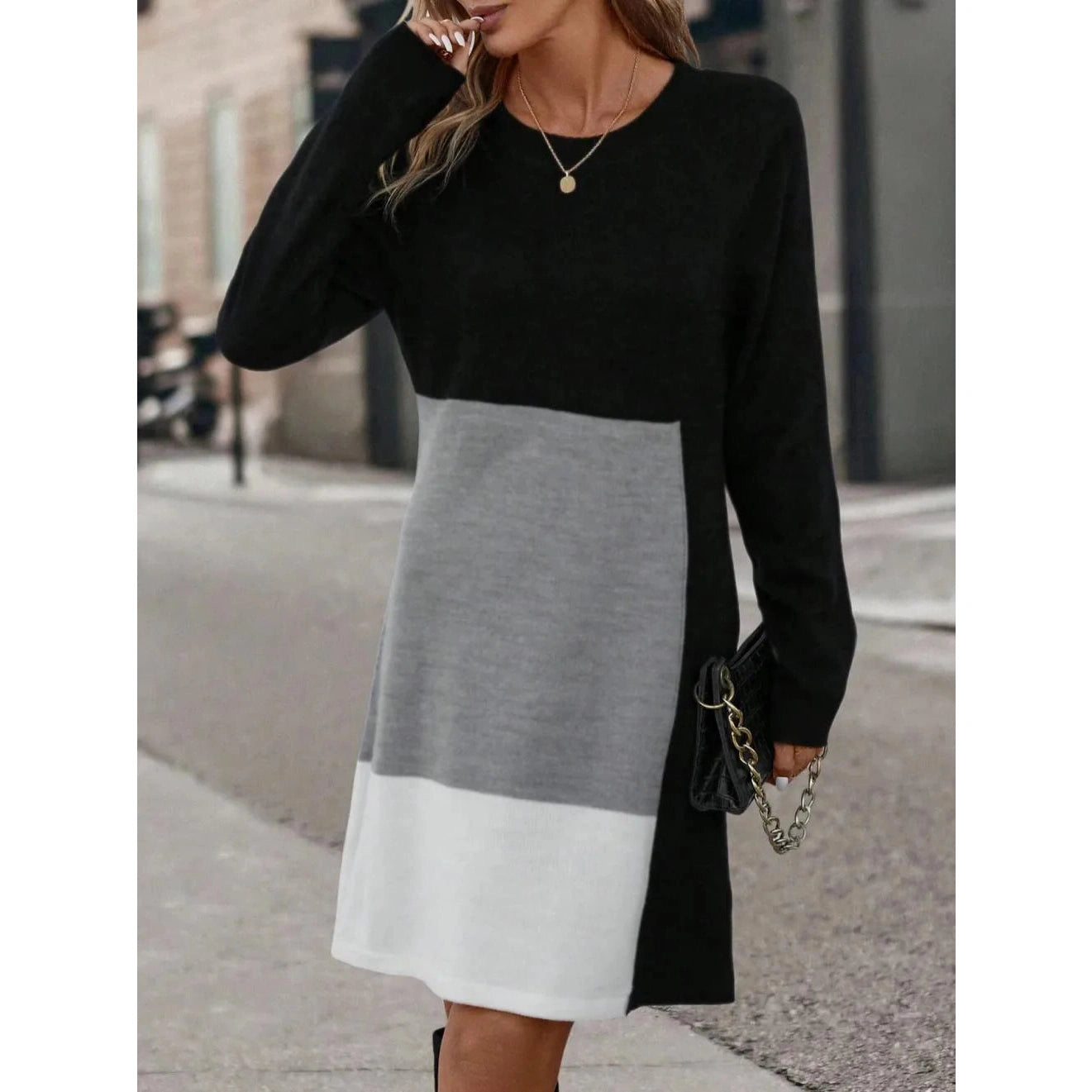 Genna Colorblock Sweatshirt Mini Dress