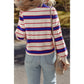 Jayde Blue Stripe Color Block Polo Pullover Sweatshirt