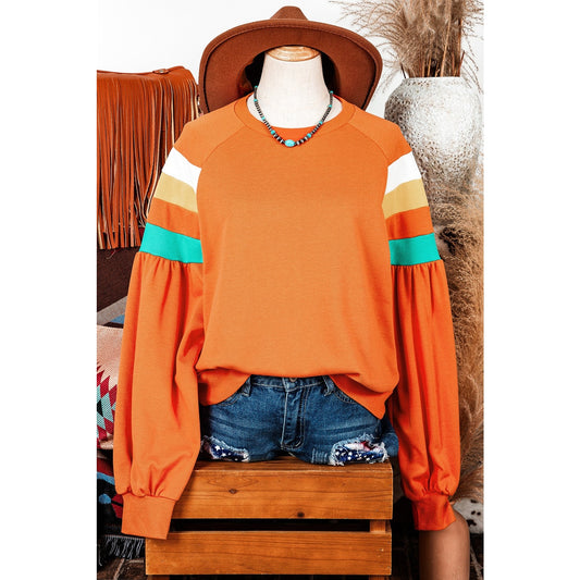 Shonta Color Block Sleeve Exposed Seam Raglan Sweatshirt