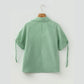 Tamera Mint Green Striped Print Collared Split Neck Half Sleeve Blouse